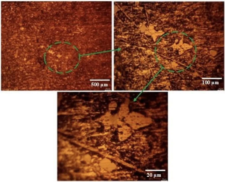 Figure 11. Microstructure of the as-cast piston