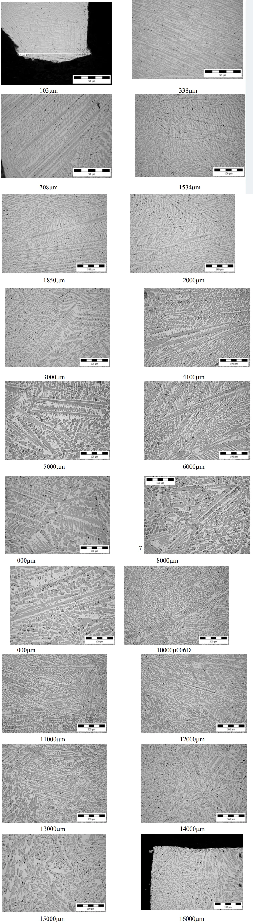 Fig. 2 represents a series of optical micrographs recorded from bottom to
top of the wedge-shape casting at various locations specified by the value 2Dc