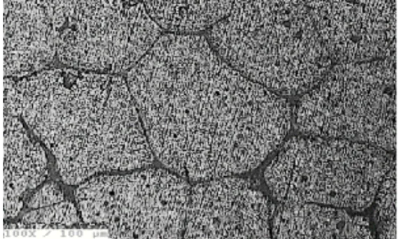 Figure 2. Base alloy- 17hrs of aging.