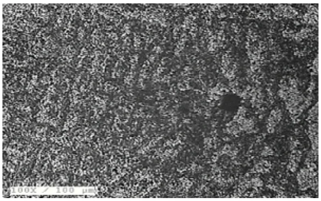 Figure 4. Al-4.5Cu-0.1Cr as cast