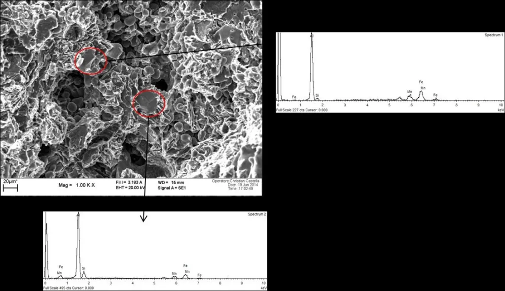 Figure 22: α-Al15(FeMn)3Si2 iron intermetallic compounds on the fractured surface of
an aluminum sample, detected close to a shrinkage porosity (courtesy of Teksid
Aluminum).